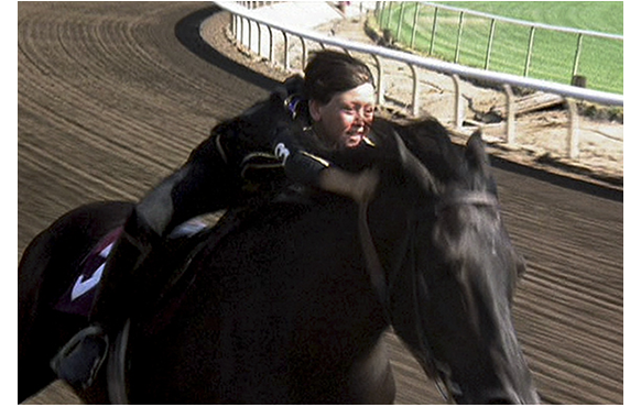 The Black Stallion